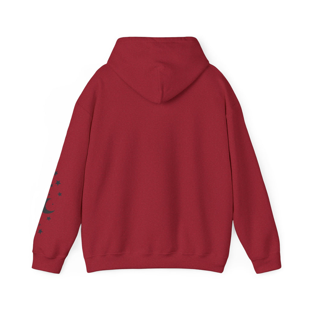 Lunar Supply Unisex Hoodie