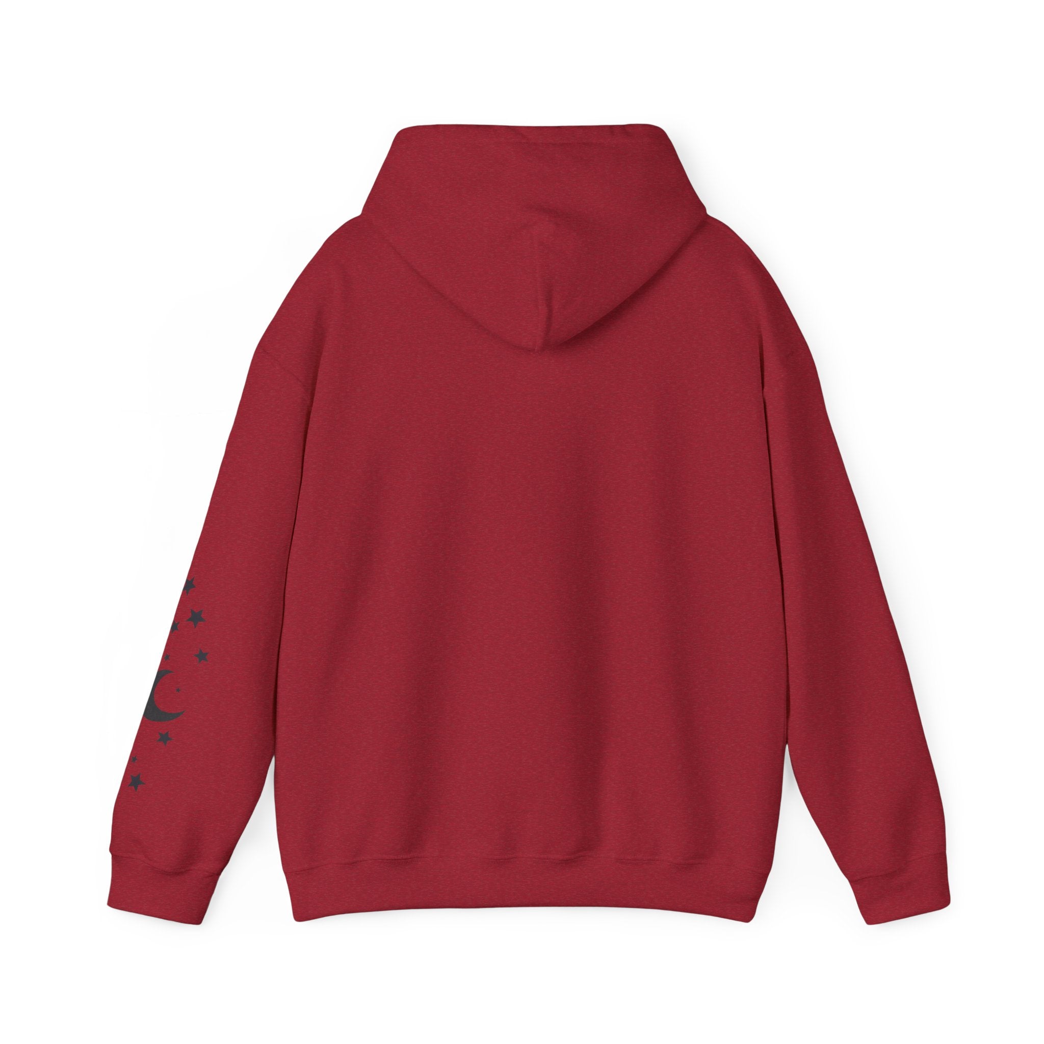 Lunar Supply Unisex Hoodie